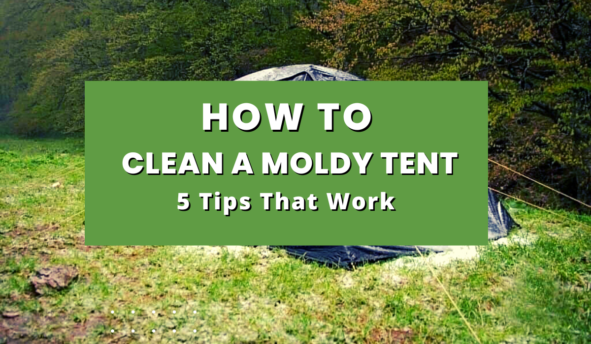 How to Clean a Moldy Tent? — 5 Best Tips That Work in 2024