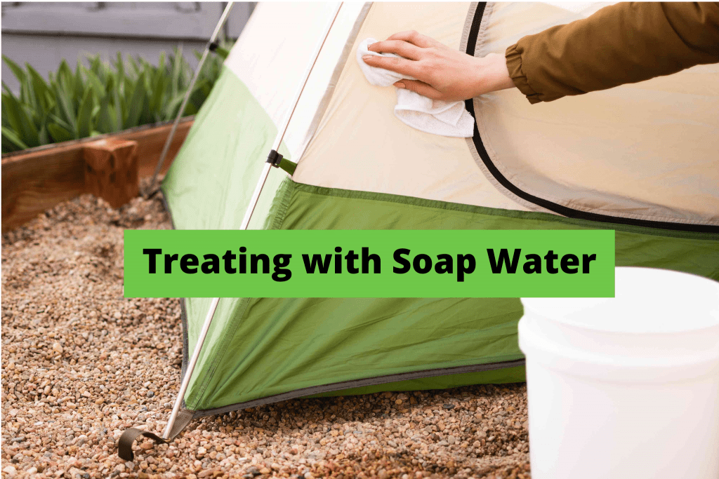 How to Clean a Moldy Tent-Treating with Soap Water
