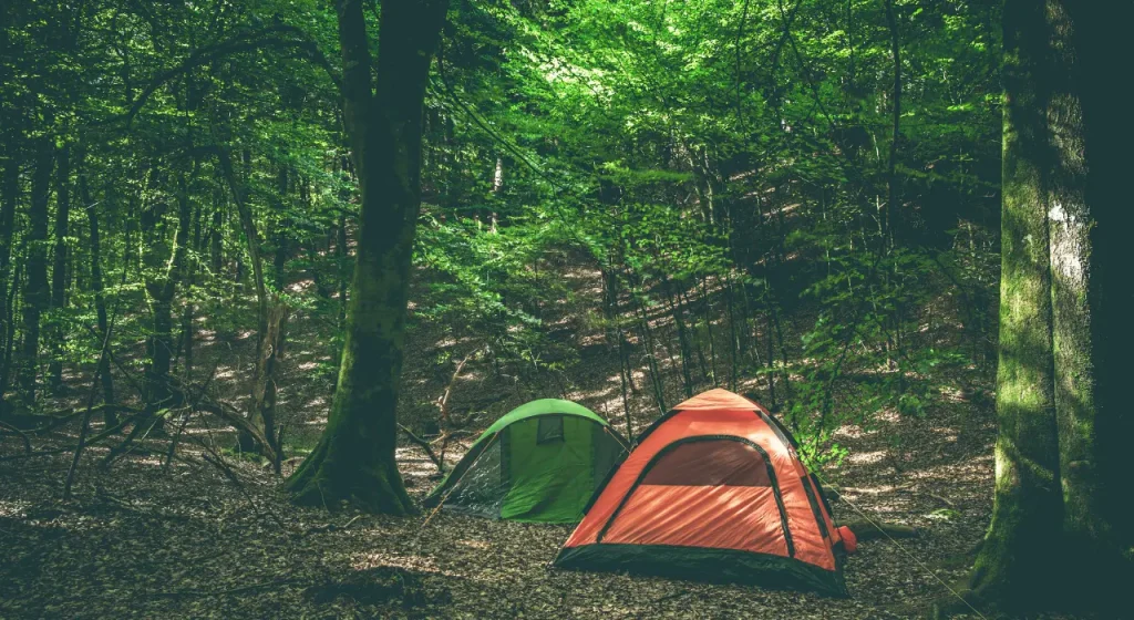 Living in a tent provides you with a closer connection with nature