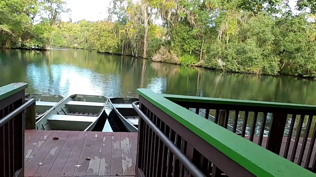 Chassahowitzka River is a true paradise for fishing enthusiasts, where you can cast your line and reel in various freshwater