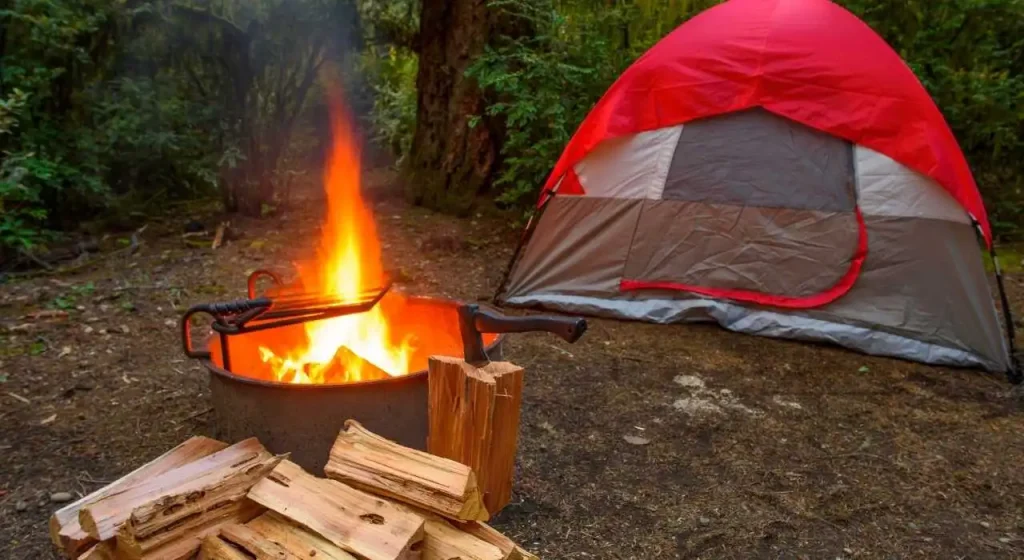 Cooking inside a tent is not a good and desirable option, but a change in nature behavior can force you to cook in a tent.