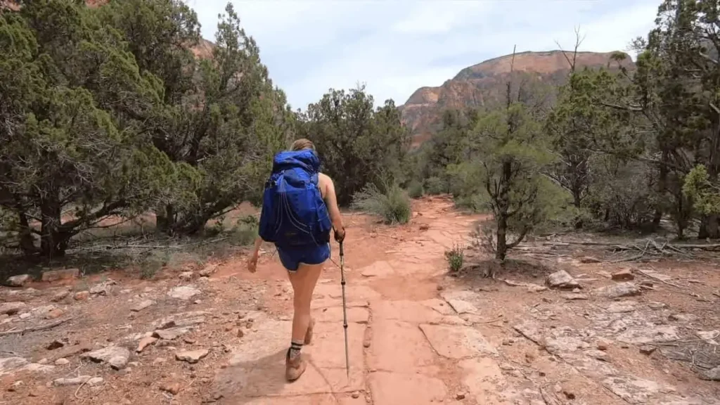 Trail Weight Vs Packed Weight: Which One To Consider